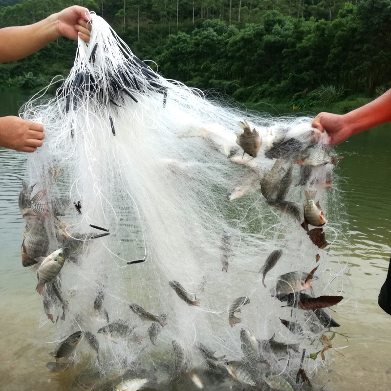 捕鱼网渔网100米鱼丝网三层鱼网鱼丝网进口丝加粗丝网粘鱼网沉网浮网3
