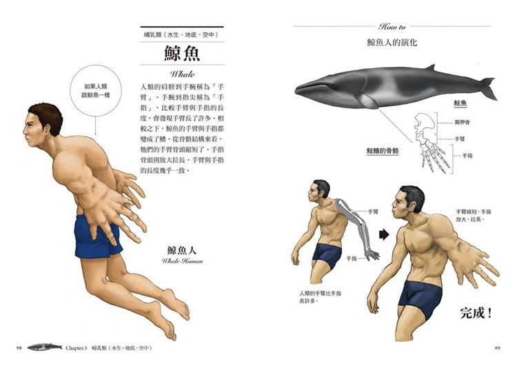 超猎奇 人体动物图鑑 乌龟的壳其实是肋骨川崎悟司港台原版图书籍进口正版台版繁体中文 摘要书评试读 京东图书