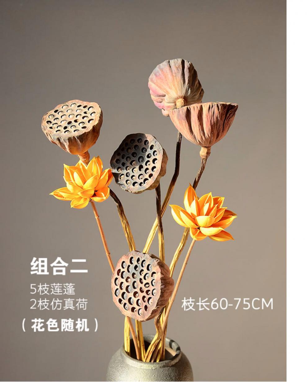 天然真杆莲蓬干花禅意风干莲藕仿真荷花莲花家居装饰摆件 5枝莲蓬 2枝