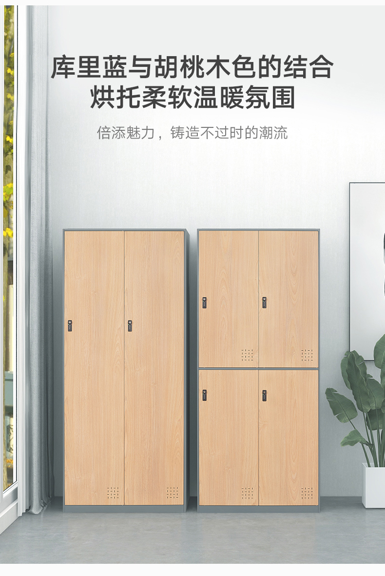 柜子储物柜存包柜游泳健身房柜子二门四门六门密码锁二门更衣柜密码锁