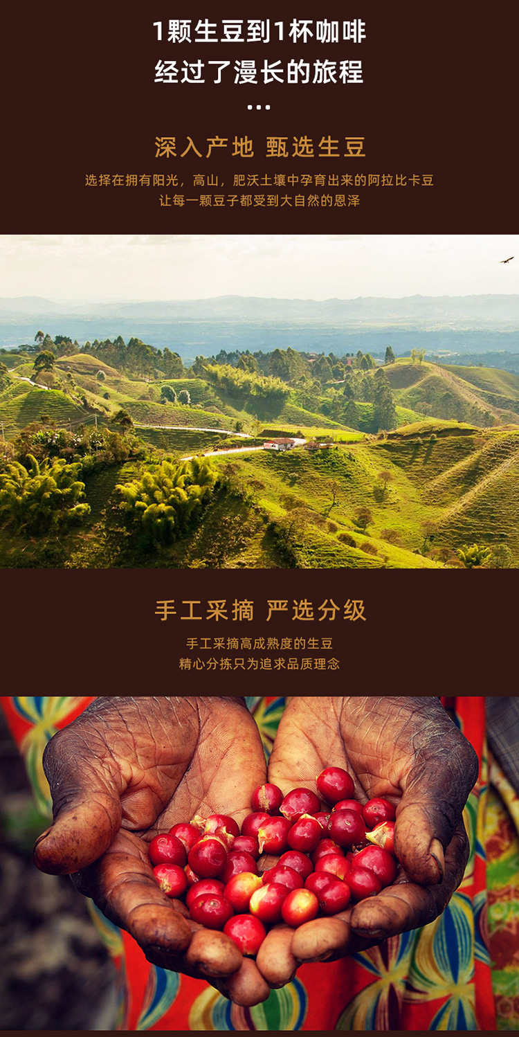 【新品】一点就到家云南省黄路村普洱咖啡豆小粒李佳琦刘昊然官方旗舰