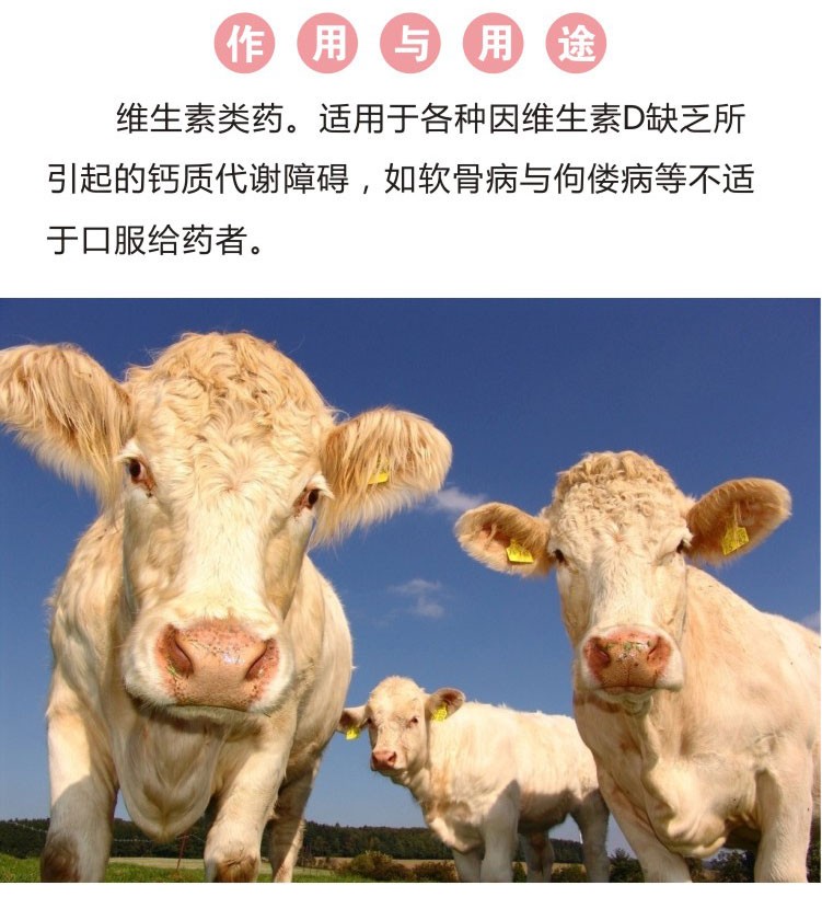 兽用维丁胶性钙针剂猪狗狗牛羊犬补钙产前产后瘫痪维生素d2注射液10盒