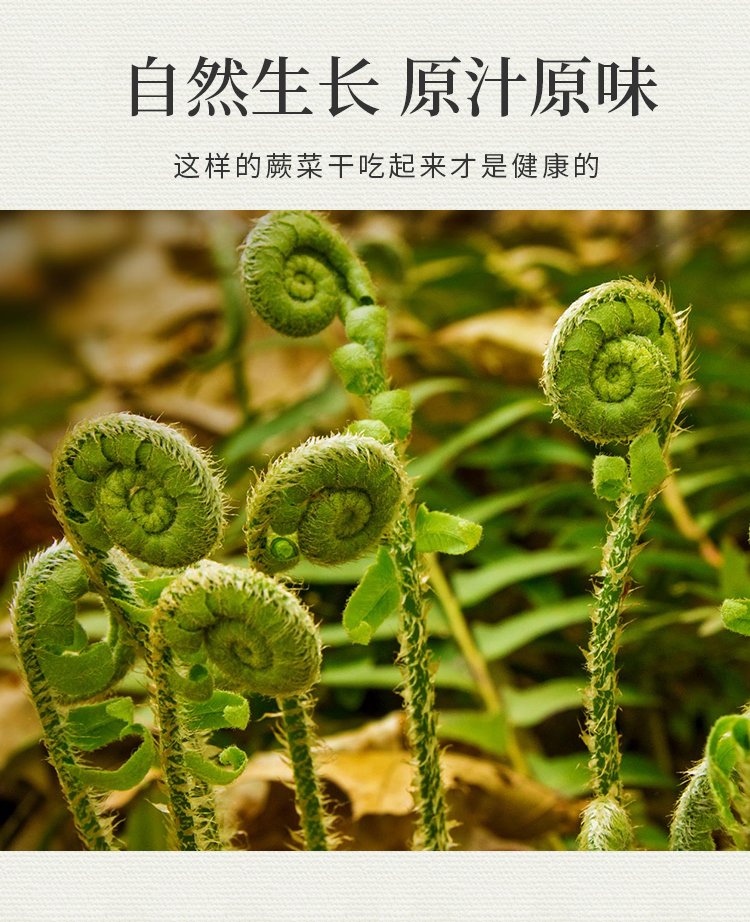 蕨菜乾貨菜類乾菜農家自制湖南土特產山蕨菜龍爪菜山野菜500g