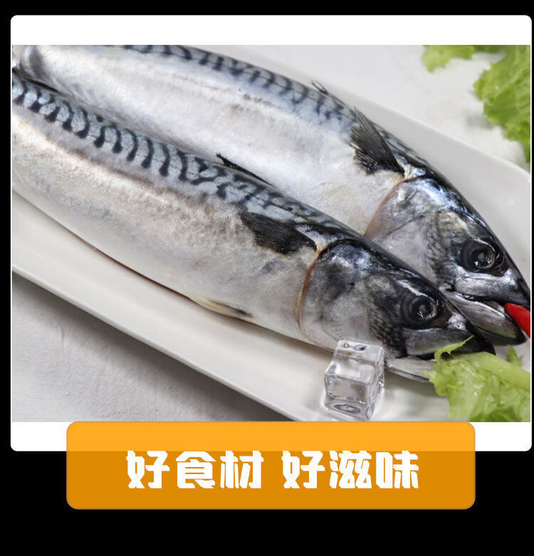 顺丰速运青花鱼船冻青花鱼冷冻海鲜水产青花鱼4斤装