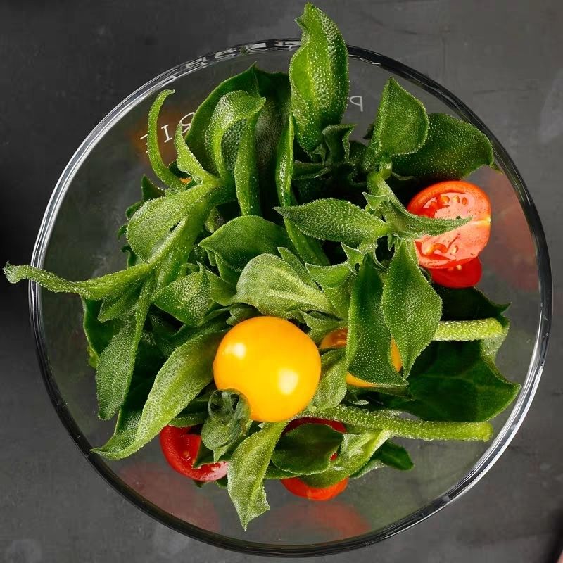 新鲜冰草冰菜即食沙拉冰叶半沙拉菜新鲜冰菜冰草蔬菜一斤半