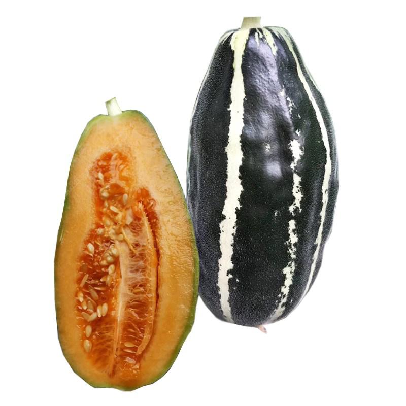 山东甜瓜博洋9号花皮羊角蜜芝麻蜜甜 纯甜瓜生鲜 3斤