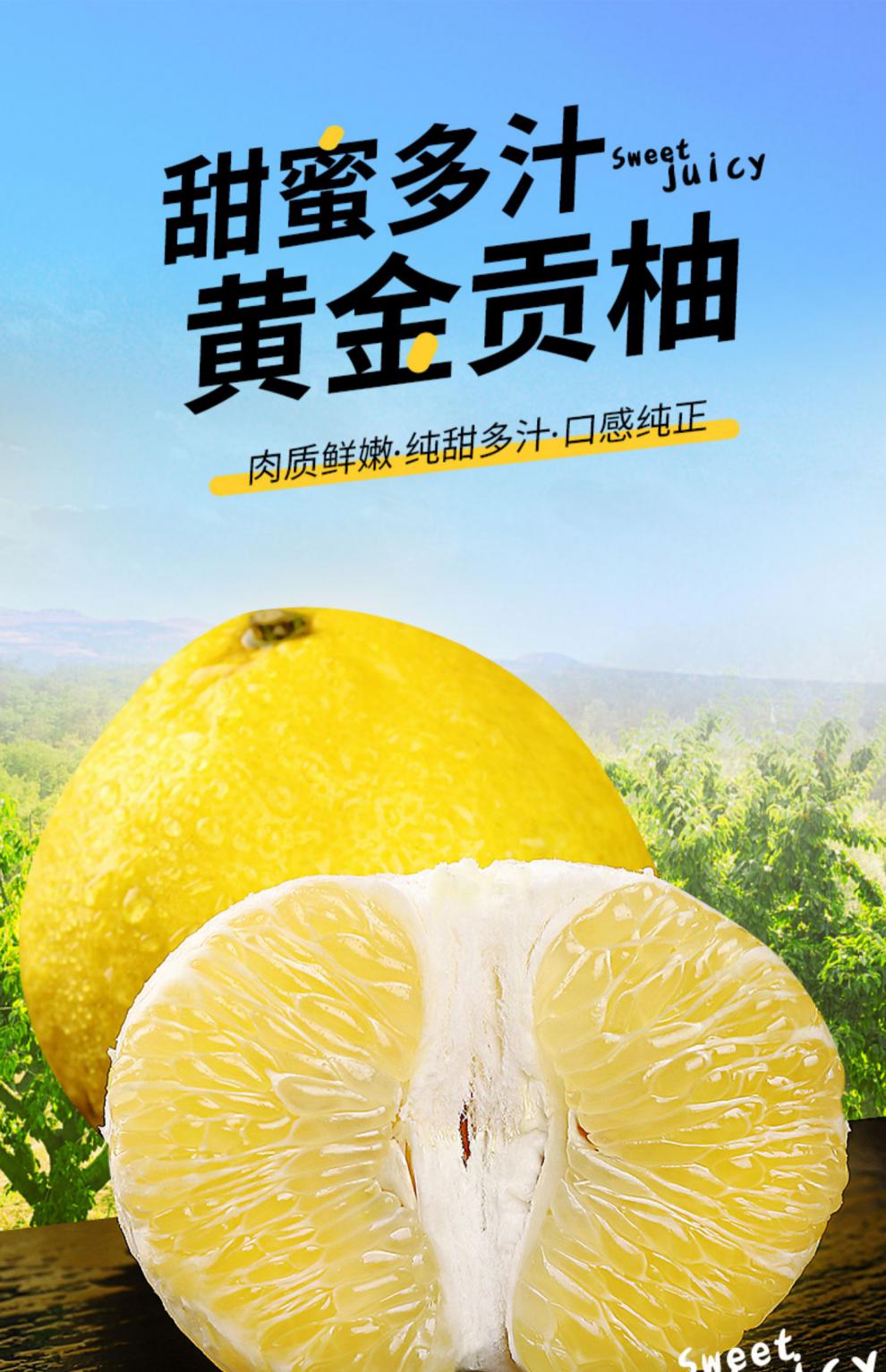采缇湖南黄金贡柚新鲜水果10斤大果柚子当季整箱葡萄柚黄肉甜柚子精选