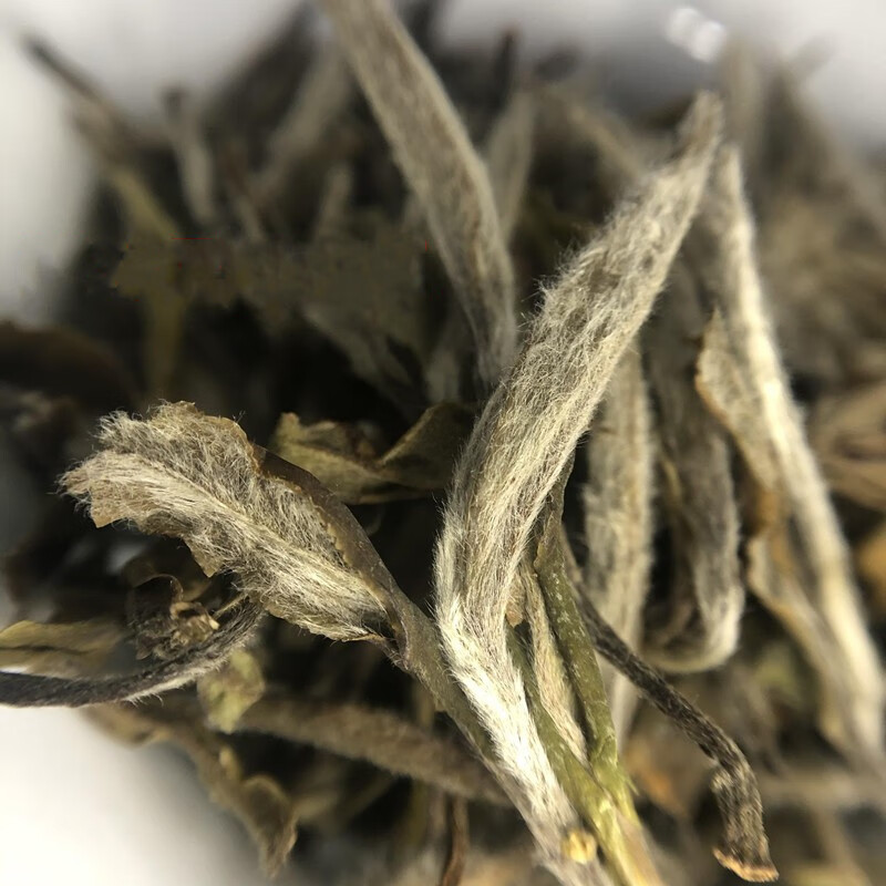 2006年白牡丹王荒野老白茶牡丹王太姥山白茶牡丹王500克 500g【图片