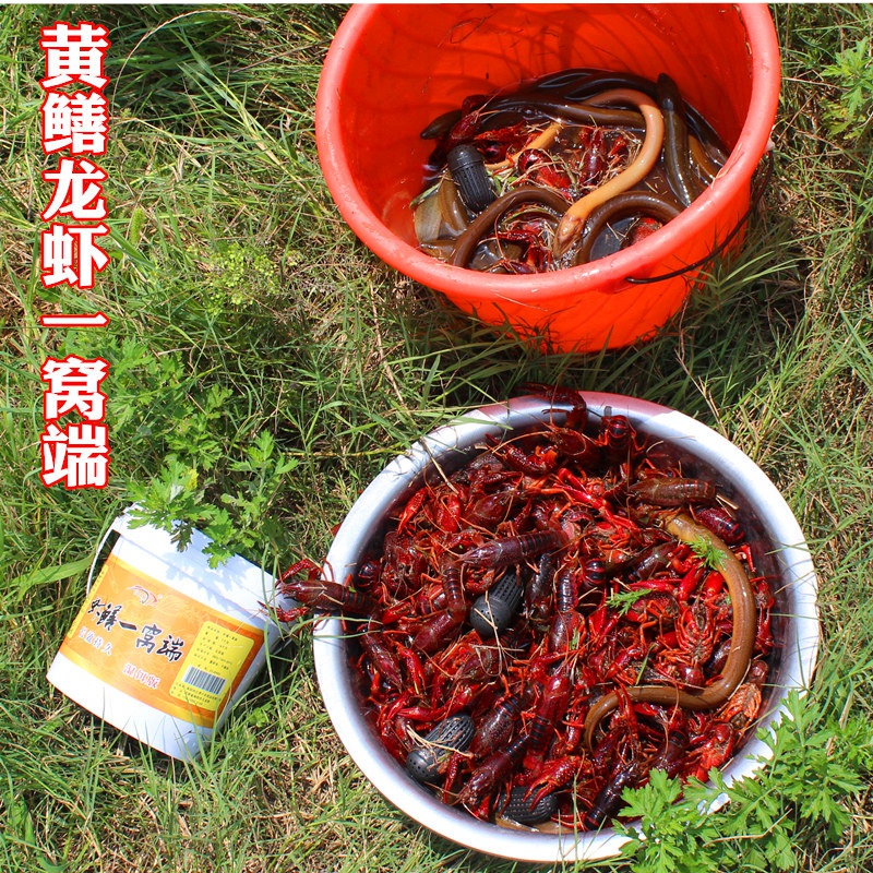 闯鼠小鱼饵料抓小龙虾药河虾黄鳝泥鳅螃蟹鳝鱼小鱼虾笼专用诱饵湿饵