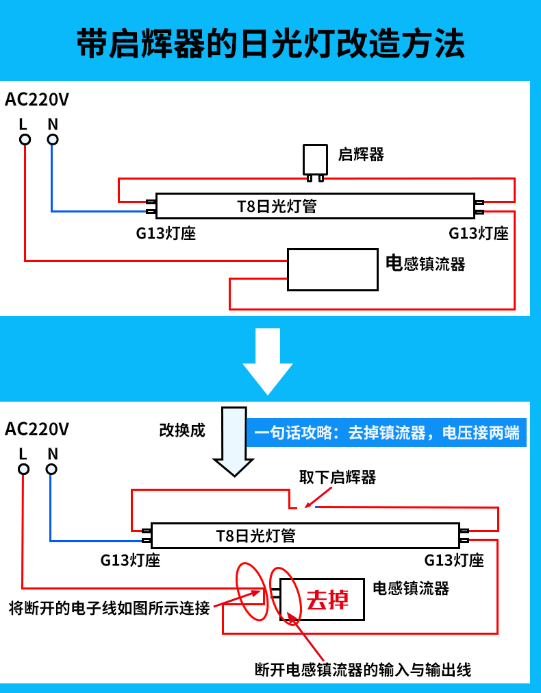 飞利浦led灯管t8单端进电0.6米8w1.