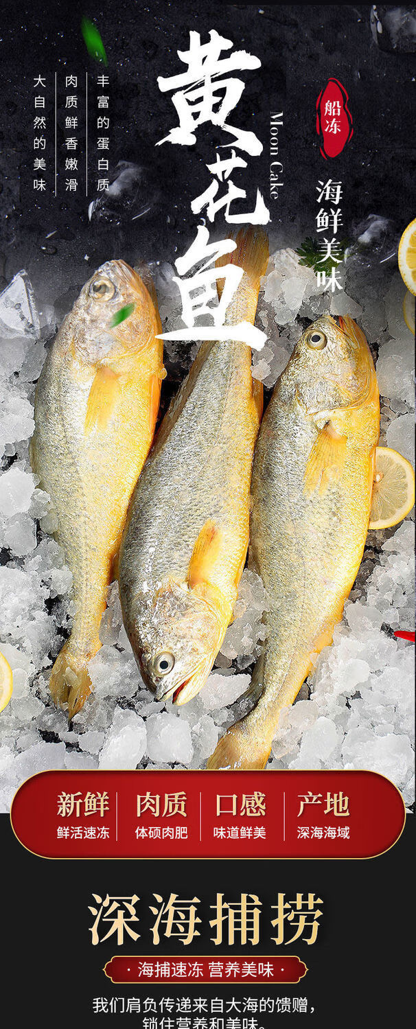 大黄花鱼宁德黄花鱼批发非东海大黄鱼现捕现发鲜活冷冻 3斤装【2条】