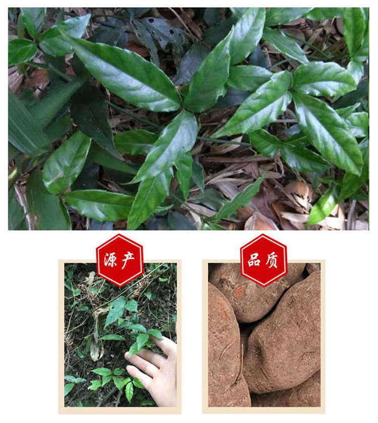 花初醒三叶青浙江三叶青金线吊葫芦三叶青粉干货三叶青草药粉代打三叶