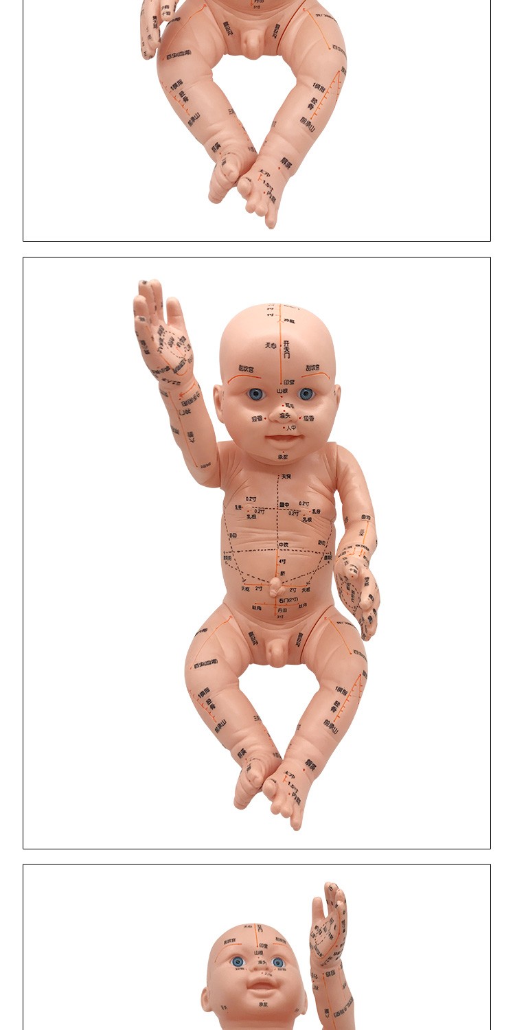 手脚可转动全身穴位模型 送儿童推拿 大眼睛小儿模型 经络图【图片 价