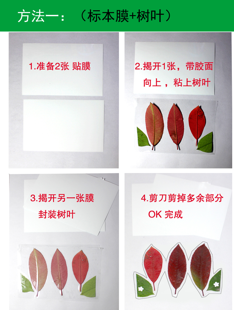 树叶标本塑封膜冷裱膜寸aa手工制作相片相纸植物书签冷表膜20张a6标本