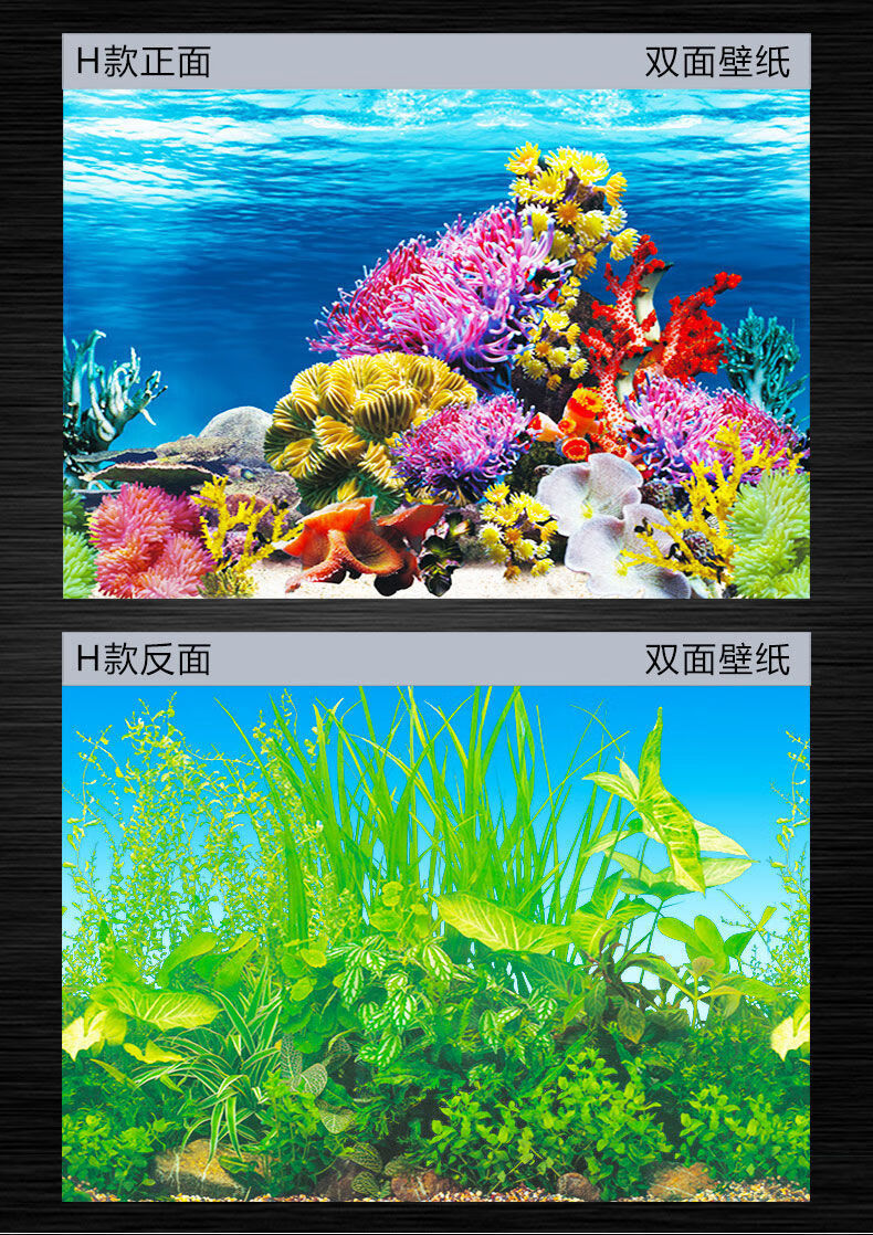 鱼缸背景贴纸3d背景图高清水族鱼缸壁纸造景装饰画珊瑚石纸画 30高*82