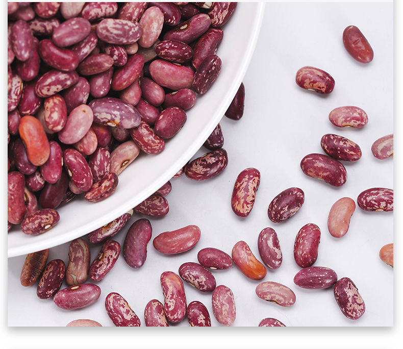 紫花芸豆红芸豆批发饭豆种子大碴粥豆馅煮粥紫云豆大花豆花芸豆紫花