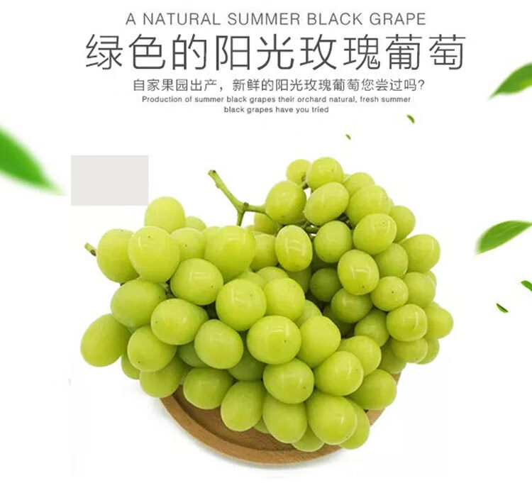 顺丰直达阳光玫瑰子秦王日本晴王无籽绿新鲜现摘净重3斤坏果包赔