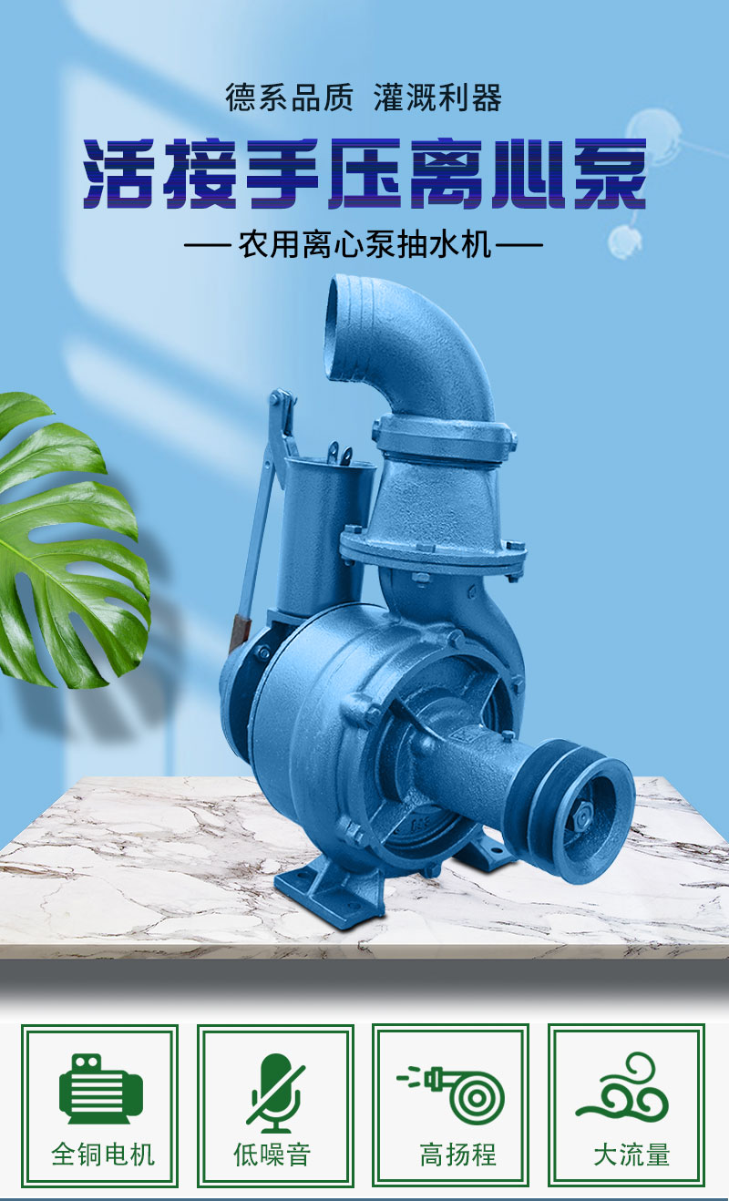 双叶轮离心泵手压拖泵抽水器农用抽水机农田灌溉高扬程大流量水泵2寸