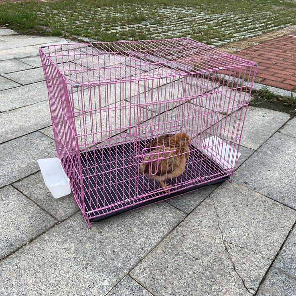 新品 雏鸡笼子家用小号加密小鸡笼养殖笼折叠雏鸡笼鸡舍鸽子笼鹌鹑笼