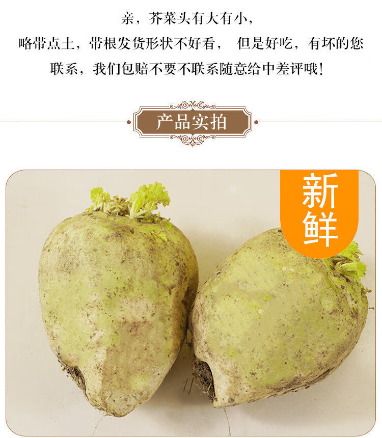 精选生鲜现挖芥菜疙瘩辣菜芥菜疙瘩黄菜大头菜芥菜头腌咸菜酸菜丝蔬菜
