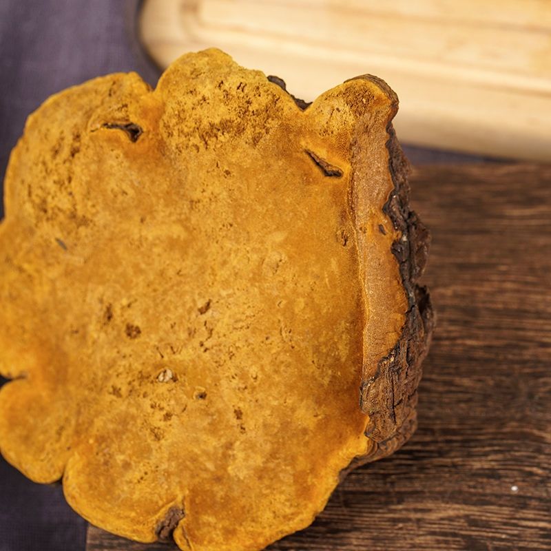 西藏野生桑黄正宗西藏桑树桑黄野生金边桑黄泡水食菌 整块桑黄 野生