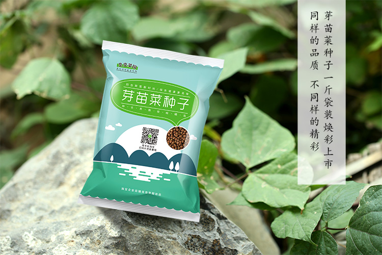 豆苗发豆芽专用黄豆种籽绿豆小粒黑豆芽苗菜豆芽菜种子水培蔬菜孑