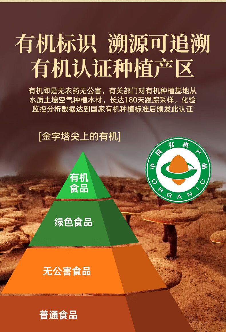 4e8370a4192afd33.jpg