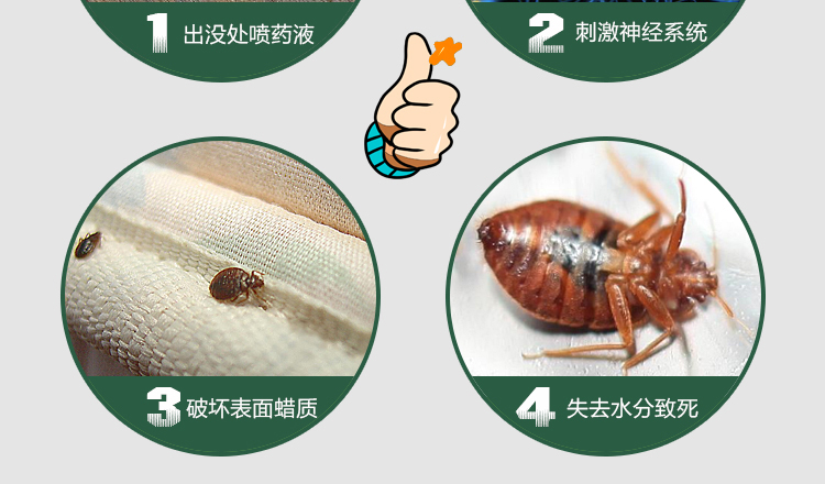 臭虫药床上吸血虫臭虫药床上专用杀虫剂除灭吸血虫跳蚤床虱臭虫净粉