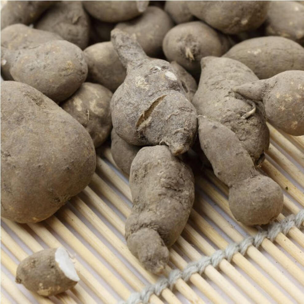 浙江三叶青野生新鲜中药材猴子紫藤干果100500克三叶青500克