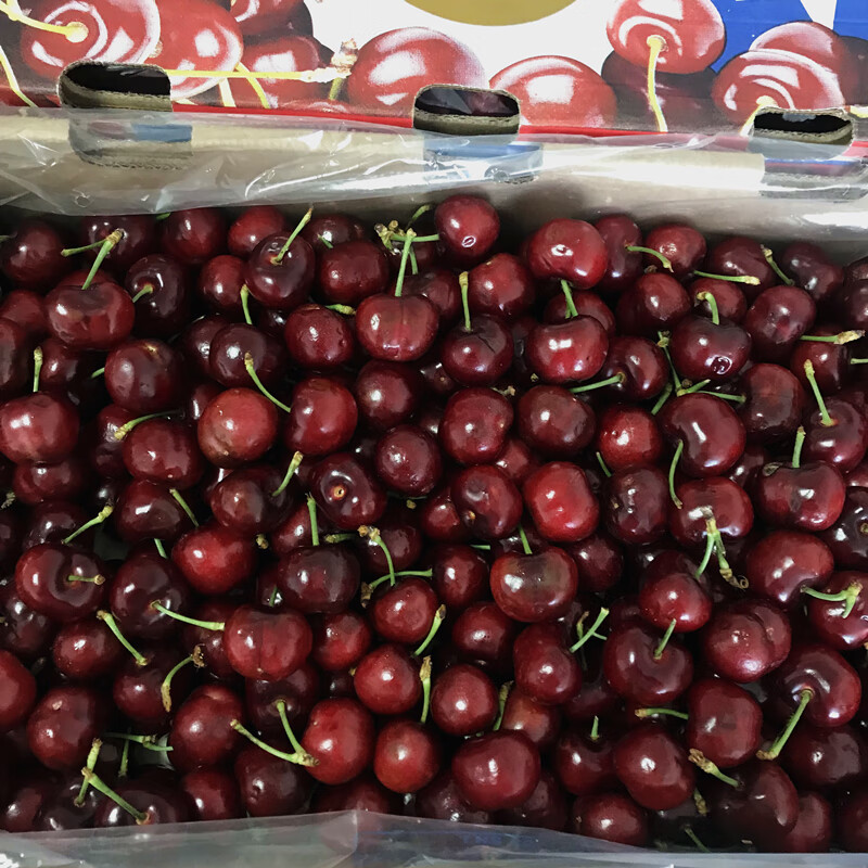 爵妃智利进口车厘子新鲜大樱桃水果胜美国美早黑珍珠稀有热带发顺丰