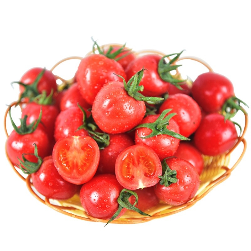 樱桃小番茄种子红色圣女果一代杂交抗病高产四季阳台盆栽小西红柿h