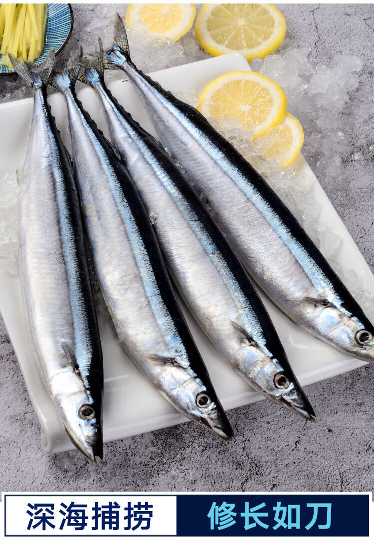 静境秋刀鱼新鲜冷冻烧烤食材日式水产10斤装