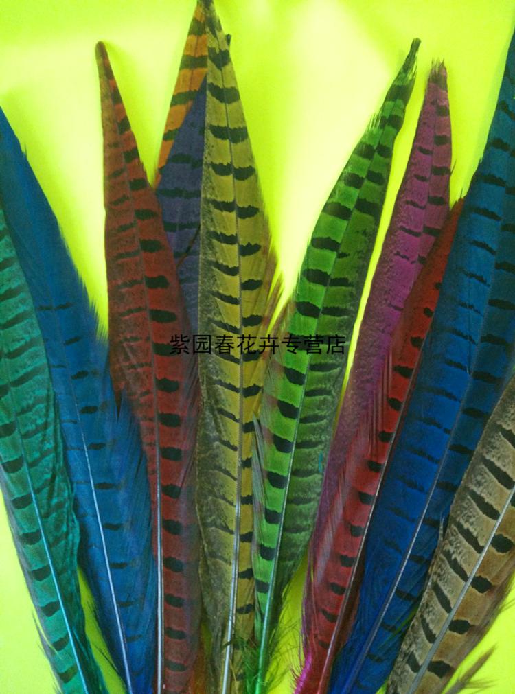 园艺以琛家居花瓶摆件真野鸡羽毛山鸡翎尾头饰服装配饰京戏翎子羽毛