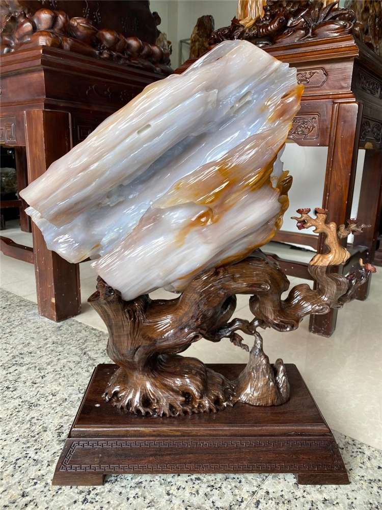 树化玉 玉石天然奇石原石装饰摆件冰种树化玉木化石观赏石景观石石头