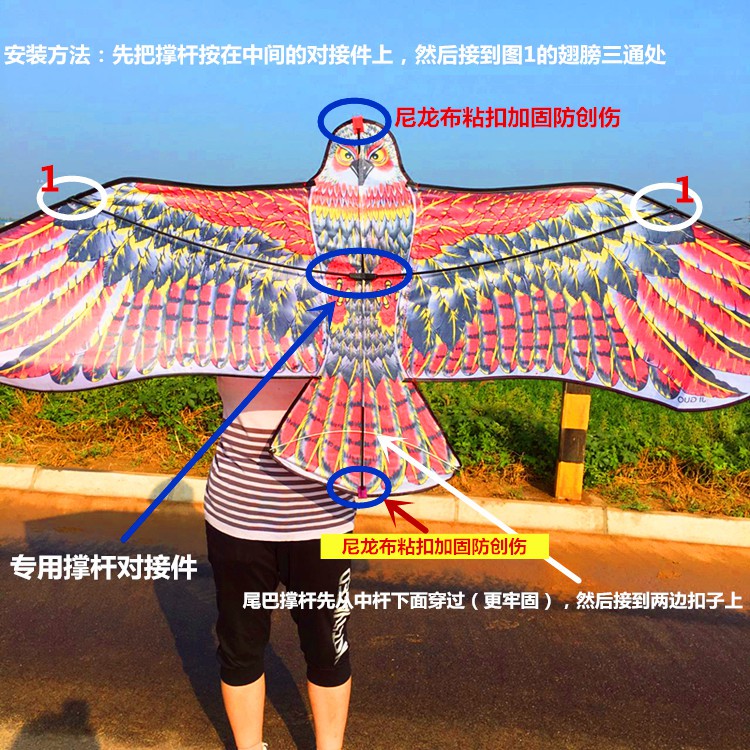 可狄 潍坊老鹰风筝 吓鸟风筝 驱鸟 防鸟鹰风筝 儿童卡通风筝 凤凰风筝