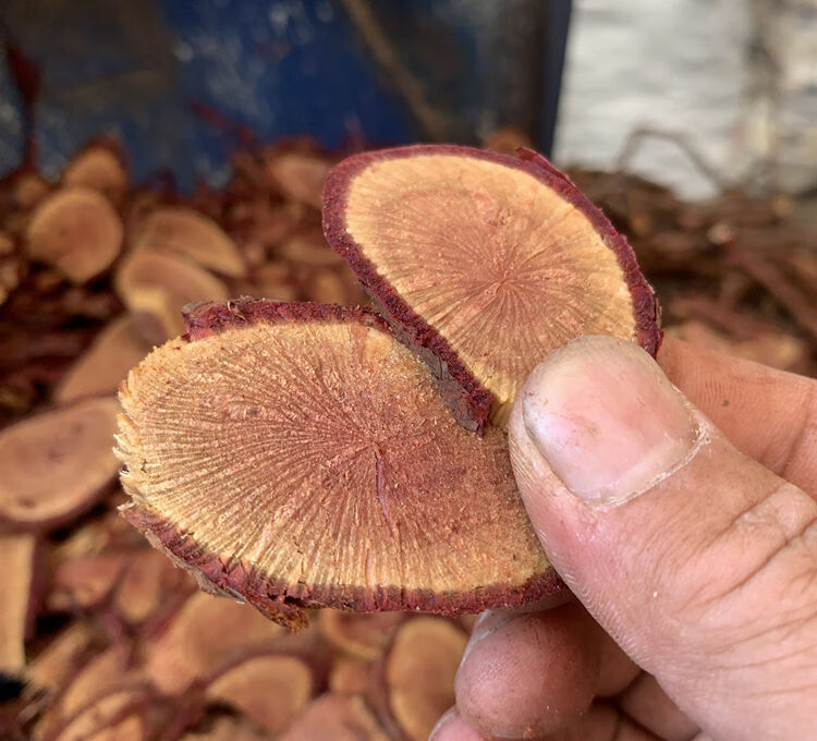 野生金樱根纯根金英子根金樱蔃新鲜金樱子根脱骨丹00克干品精选小根扎