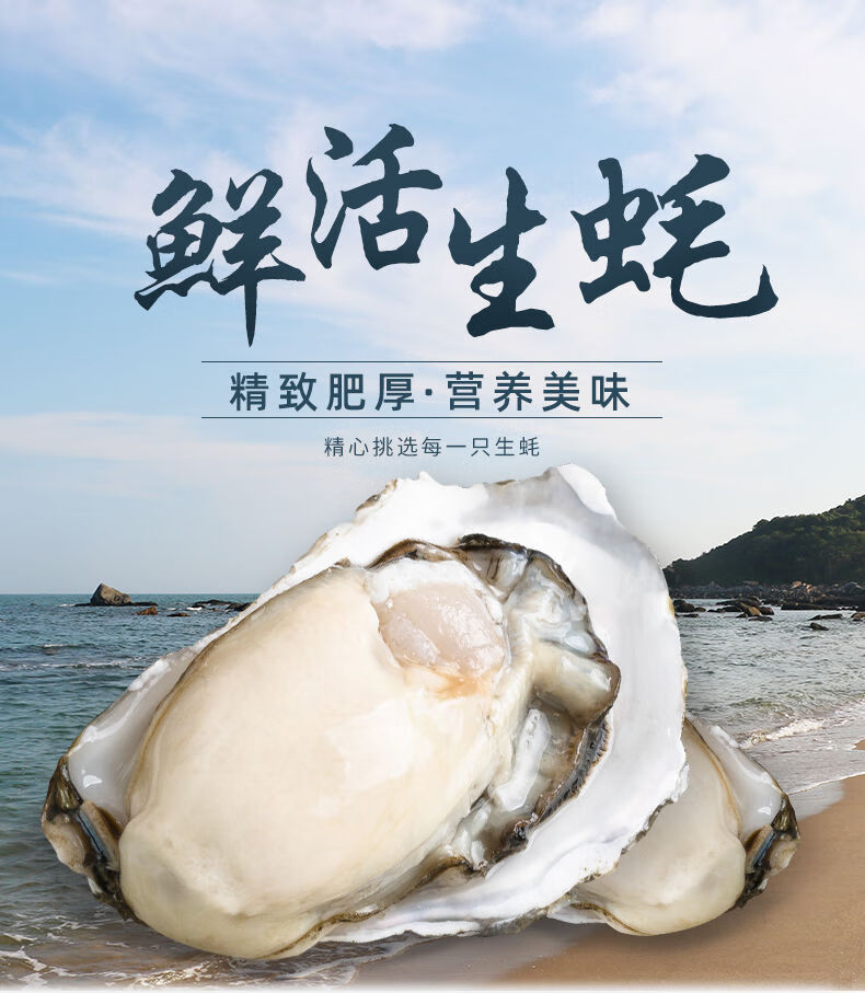 (顺丰冷链)乳山生蚝 新鲜特大牡蛎鲜活贝类海鲜海蛎子肥整箱6斤 诺斯