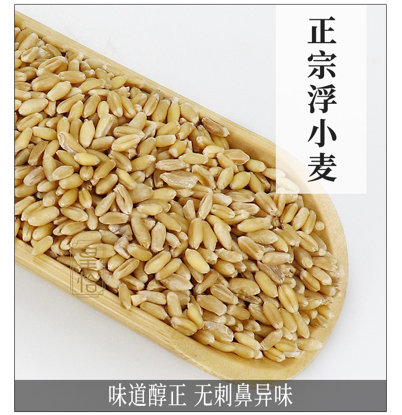 浮小麦鉴别图图片