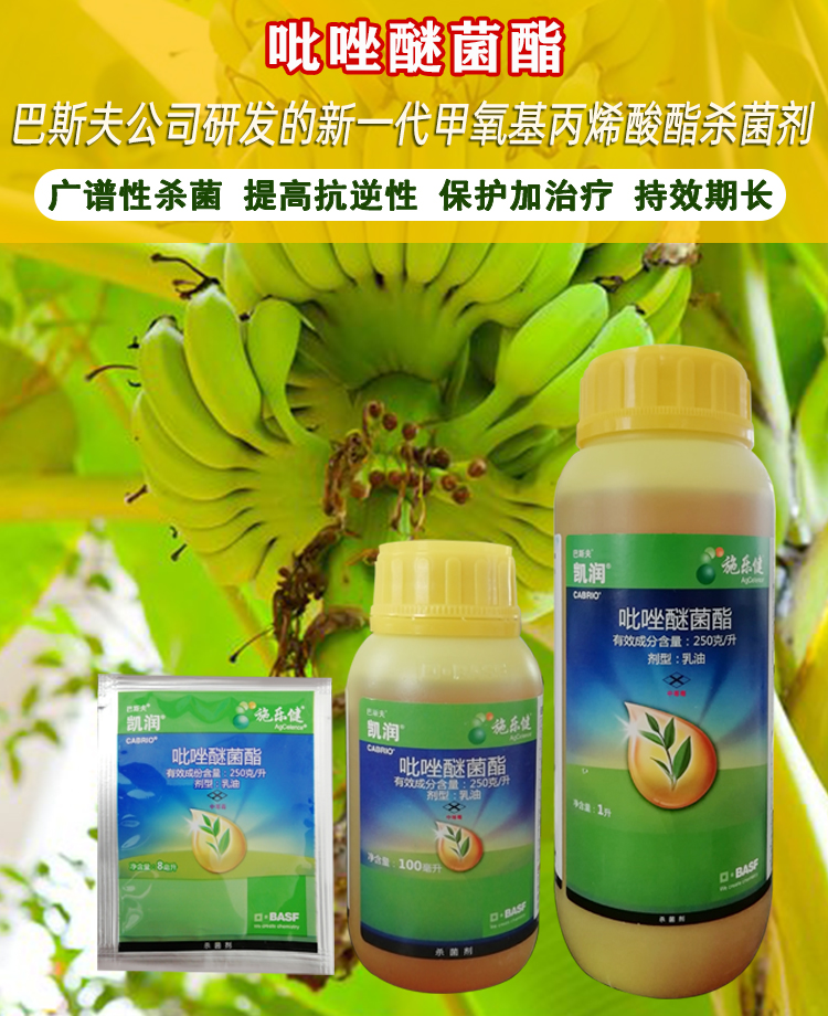 德国巴斯夫凯润吡唑醚菌酯白粉叶斑黑星病霜霉病炭疽病剂进口100ml