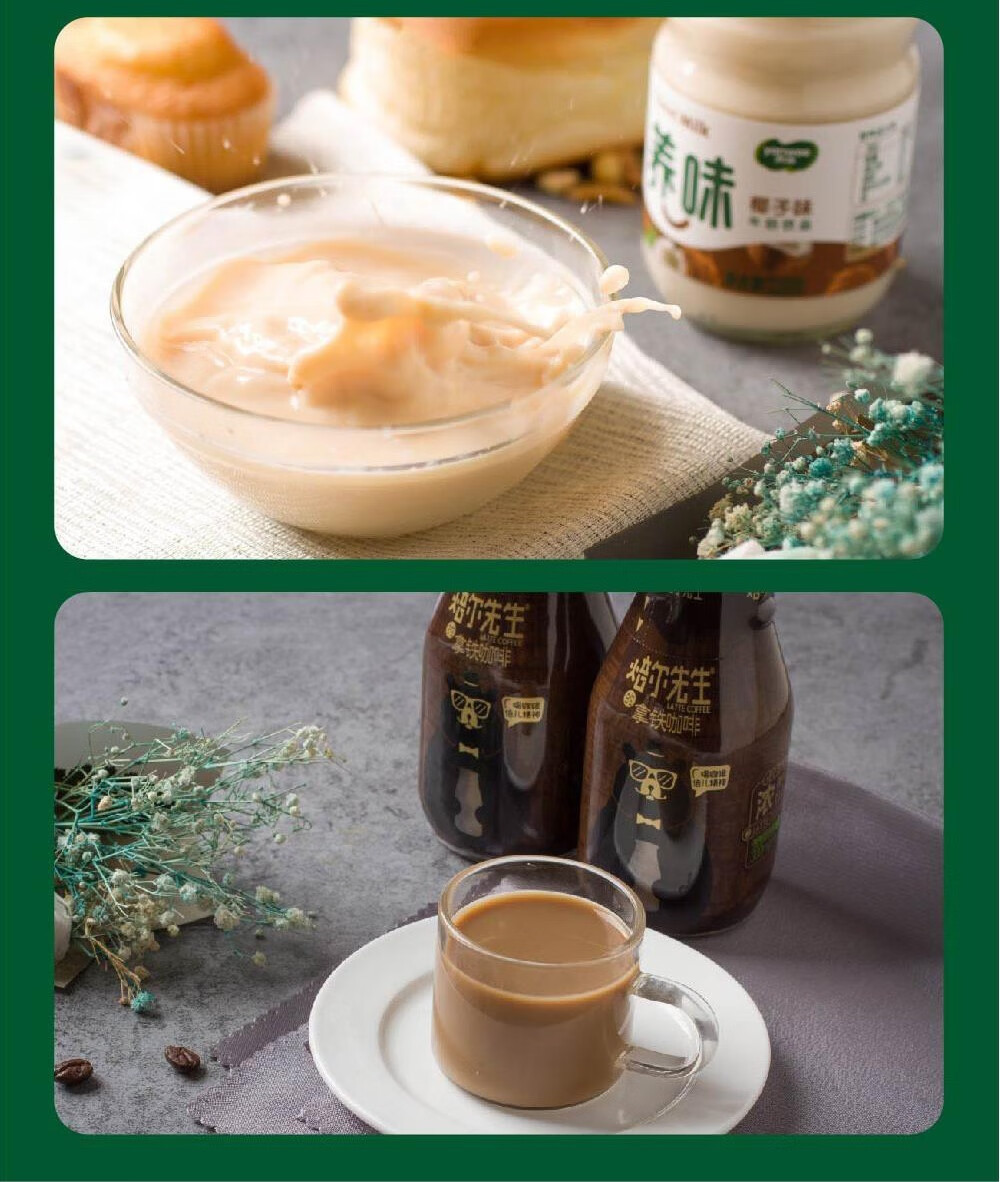 儿童早餐奶 牛奶饮品 酸菌酸奶饮料 家庭应急囤货 哈密瓜味牛奶220g*1