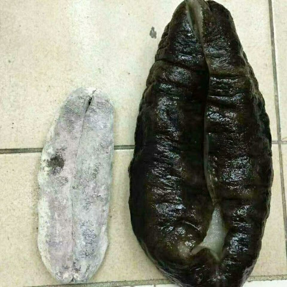 猪婆参澳洲进口海参淡干海参干货深海刺参2斤猪婆参