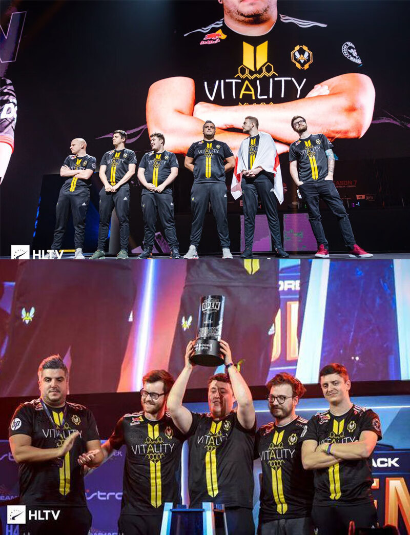 vitality队服可定制id电竞法国小蜜蜂比赛服外套csgo吃鸡dota2 小蜜蜂