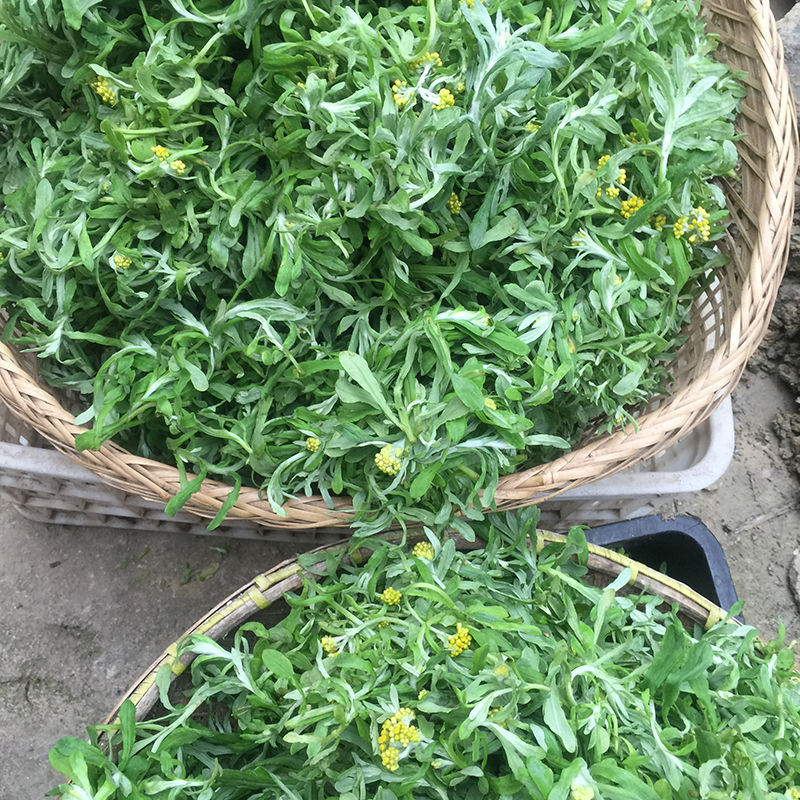 湖南特产艾草野菜粑粑清明草鼠曲草粑粑水牛花粑粑现做新鲜发货 半斤