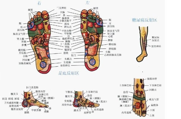 品牌骨正基鞋垫骨骼正基扁平足保健磁疗鞋垫矫正足弓xo型
