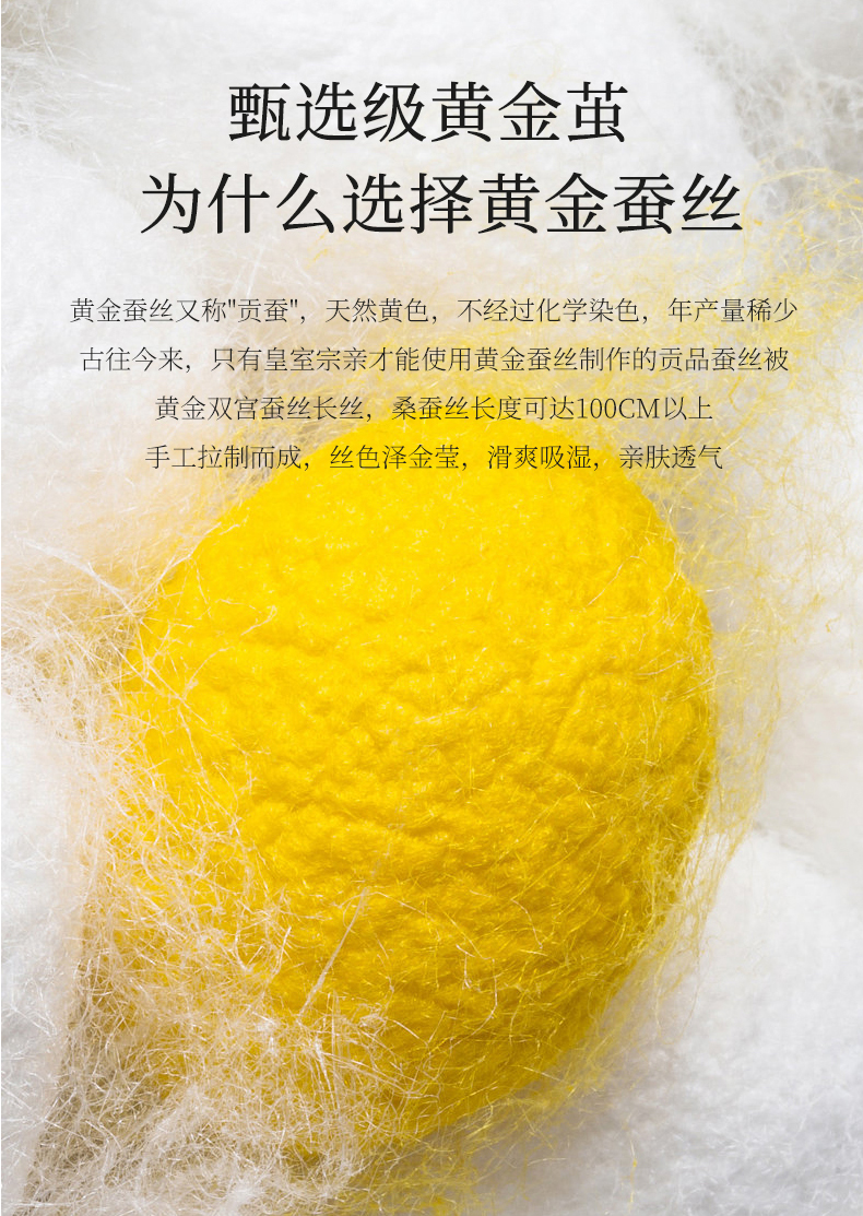 矢向家纺全棉黄金蚕丝被新疆精疏棉纯棉丝滑裸睡桑蚕丝被芯秋冬加厚10