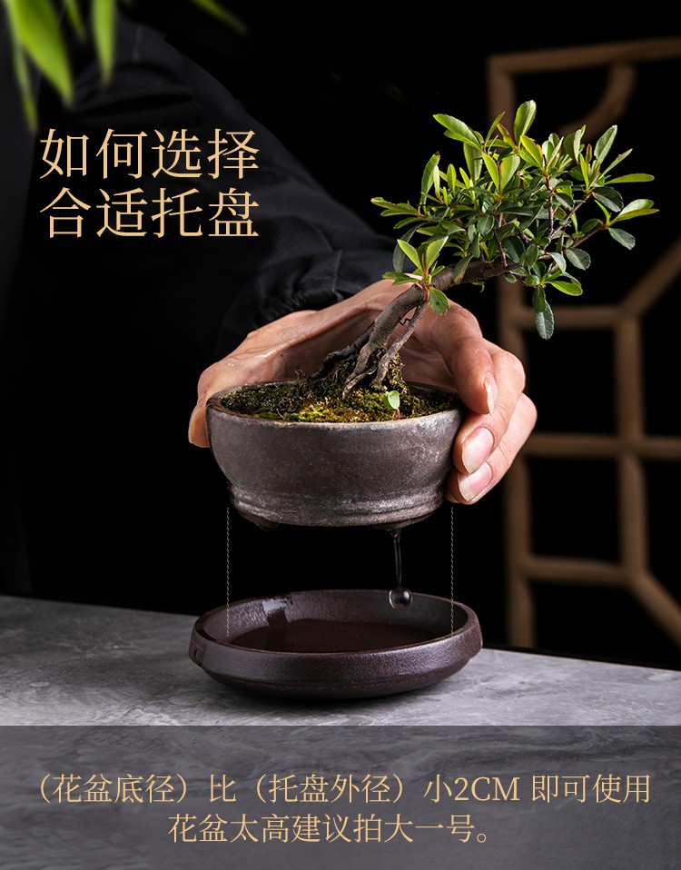 澜墨盆景花托紫砂托盘花盆接水底盘陶瓷长方形圆盆托花盘底座底托垫底