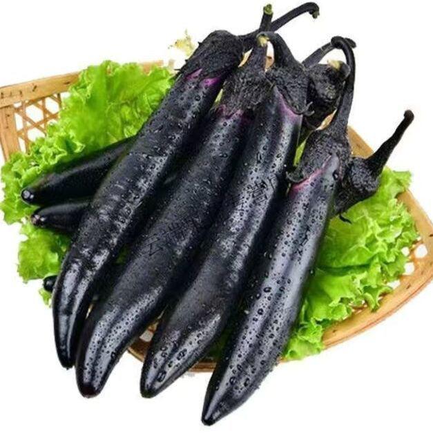 茄子新鲜茄子批发东北紫茄子正宗紫丽人茄子新鲜蔬菜紫裤长茄子净重2