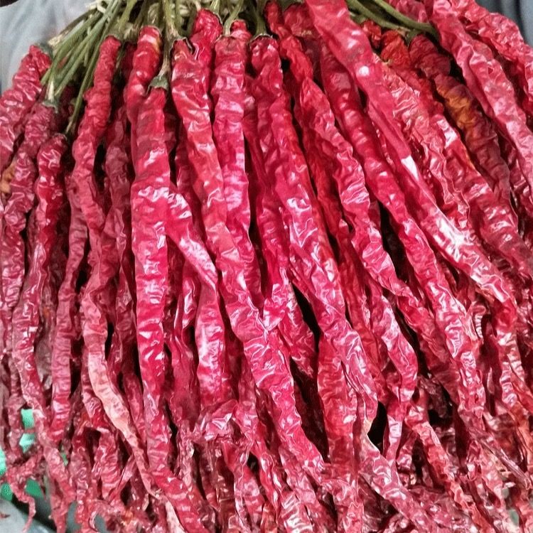 带把二荆条干辣椒微辣250g贵州特产辣椒辣椒不辣超香二荆条辣椒 3斤装