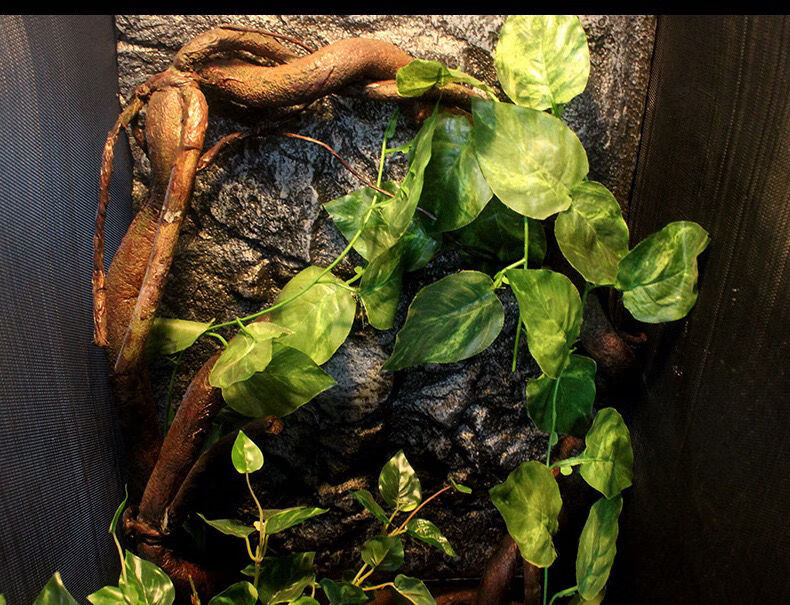 新款大号跨境爬虫网箱饲养箱变色龙蜥蜴蛇铝合金可拆装拼接爬虫箱小号