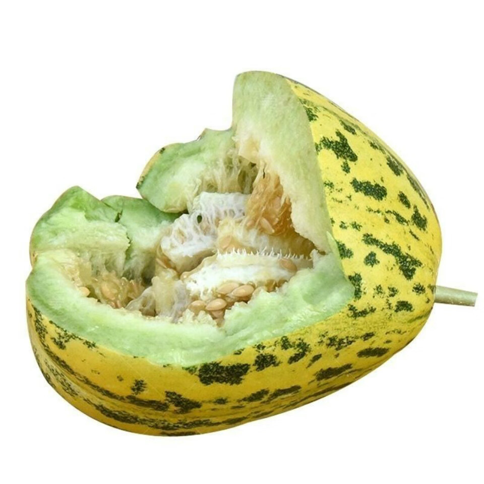 5折 东北甜香瓜白糖罐新鲜水果八里香农家脆甜口感家乡味道 五斤(白瓜